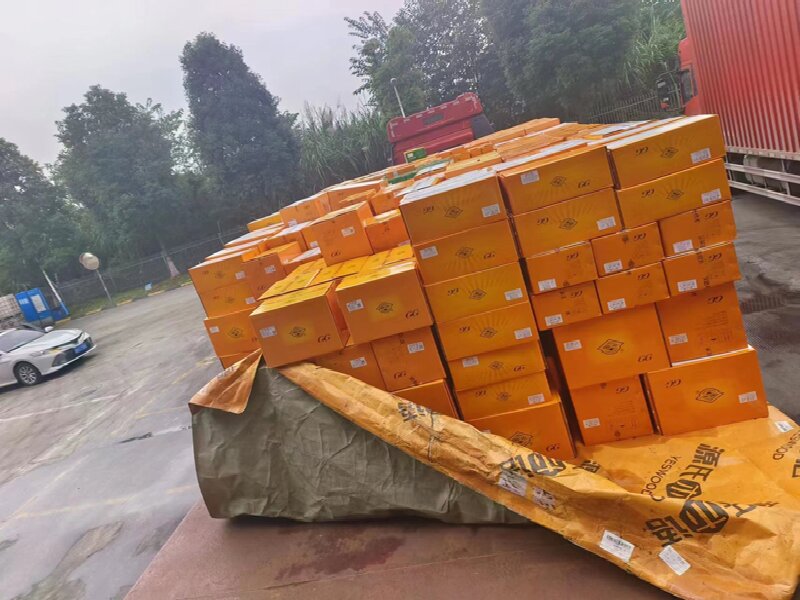 溫州到沈丘縣物流公司